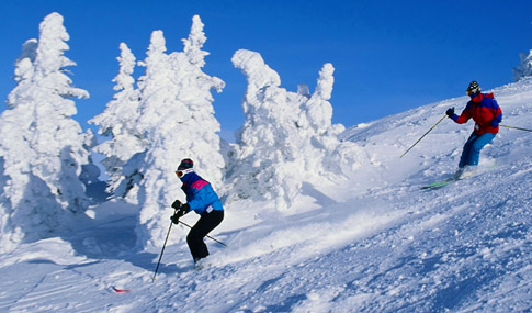Mathews Destinationz - Your Tour Partner